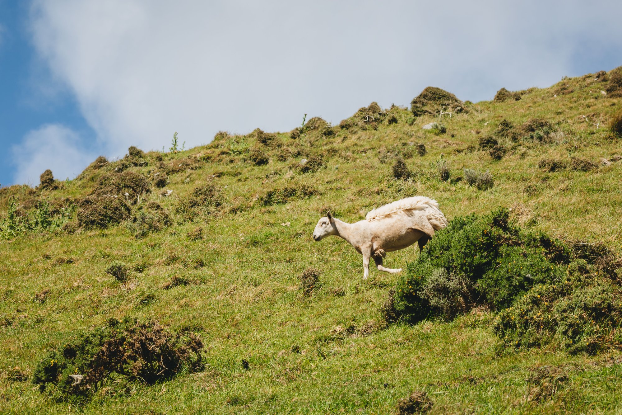 WNZ_Wanderlust Tours_07112024_Credit_WellingtonNZ_Phoebe Mackenzie_-106 (3)